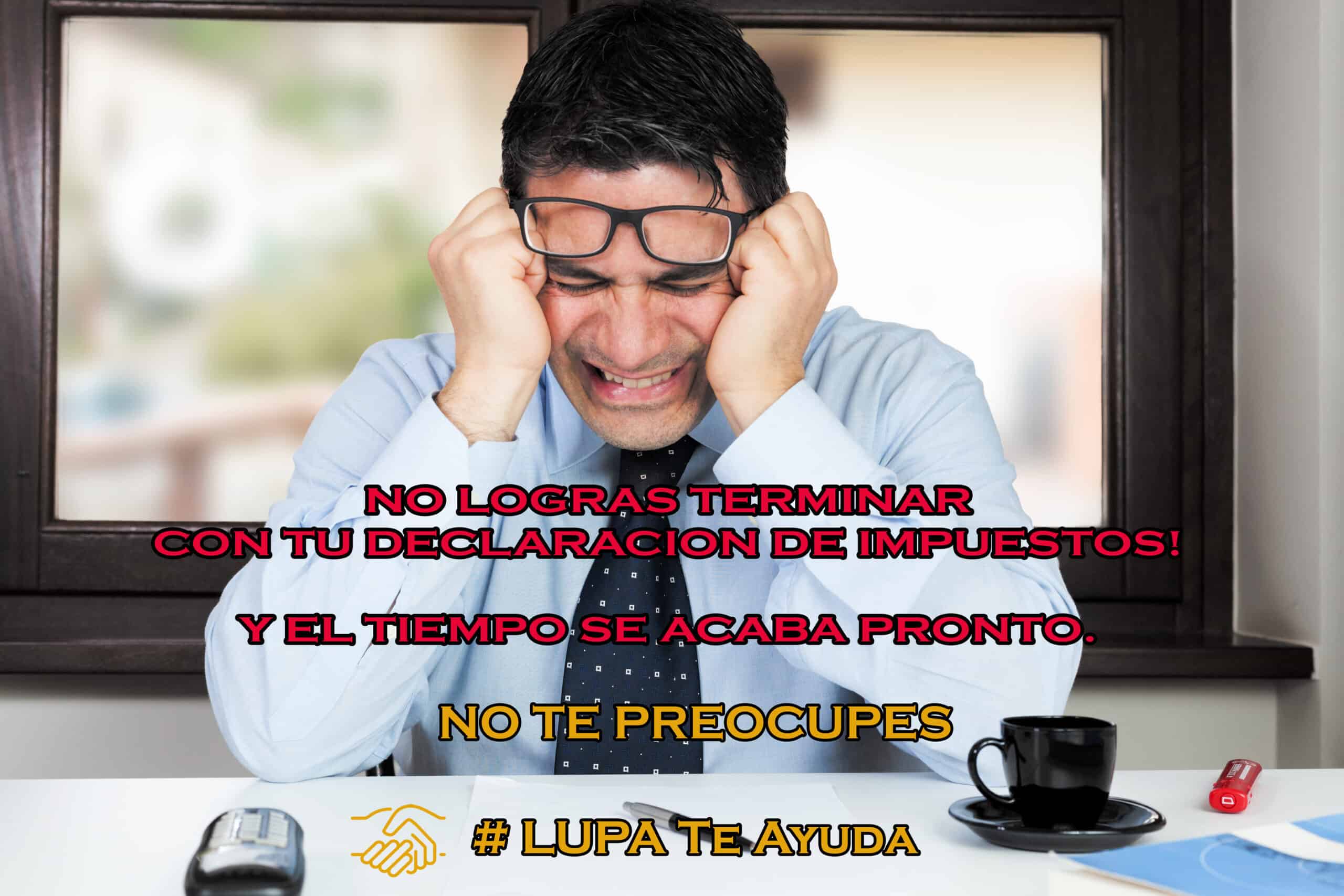 lupa-taxes-and-hash-tag-8008677